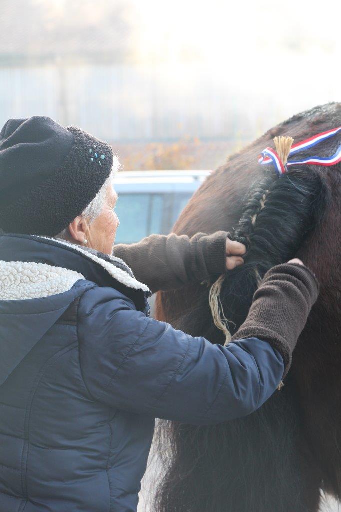 Foire aux Poulains (10)