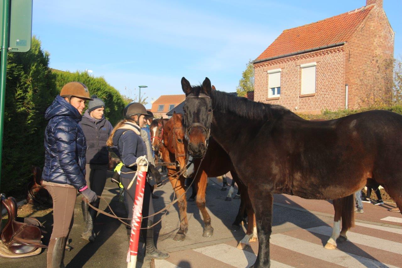 Foire aux Poulains (100)