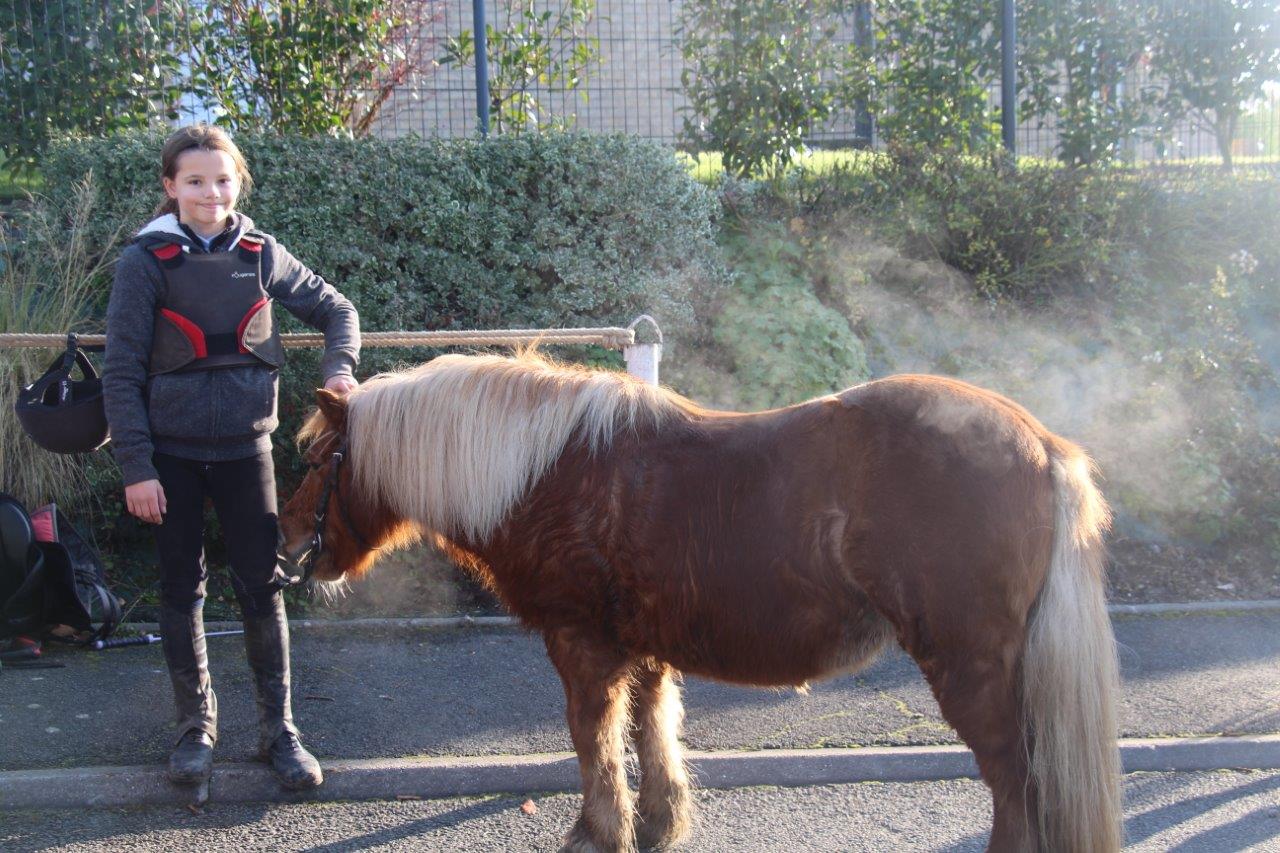 Foire aux Poulains (101)