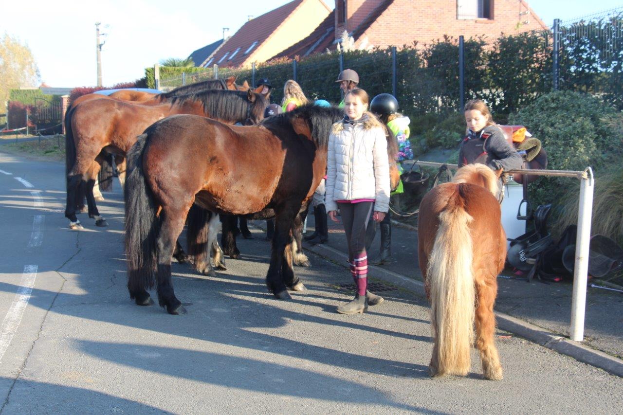 Foire aux Poulains (102)