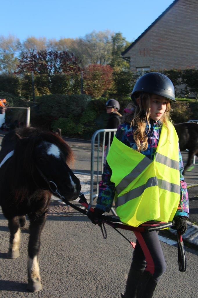 Foire aux Poulains (105)