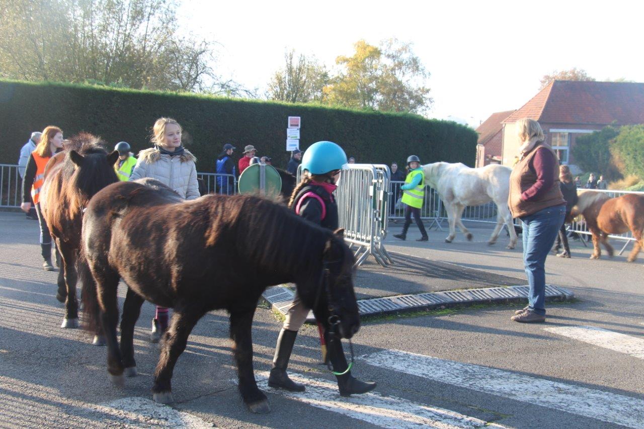 Foire aux Poulains (106)