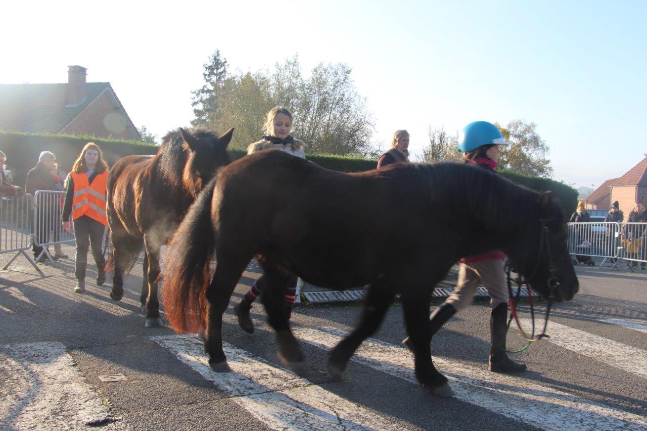 Foire aux Poulains (109)