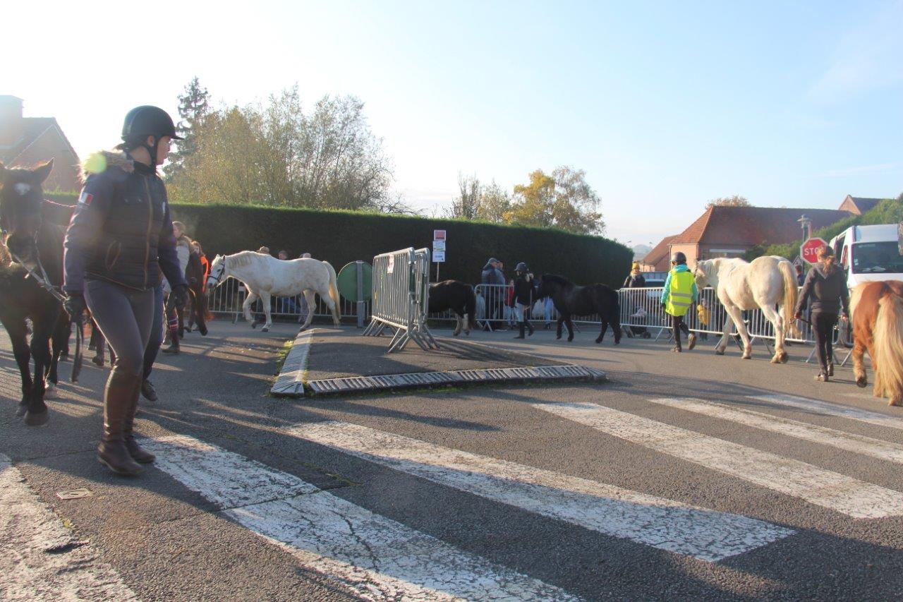 Foire aux Poulains (110)