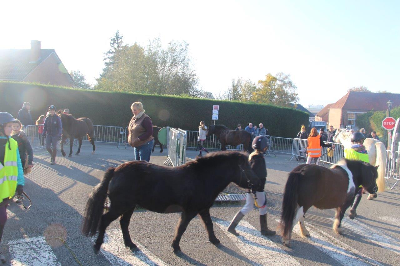 Foire aux Poulains (111)