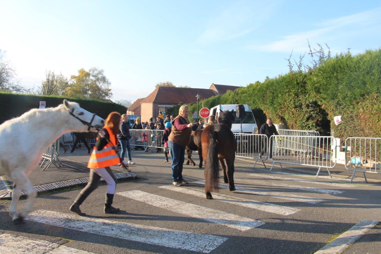 Foire aux Poulains (115)