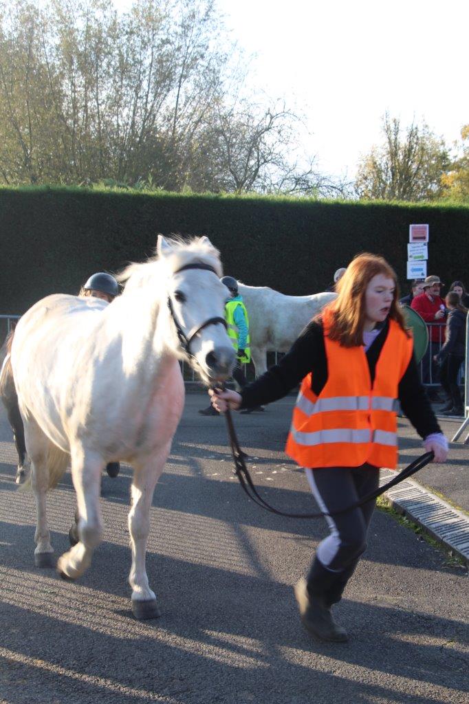 Foire aux Poulains (117)