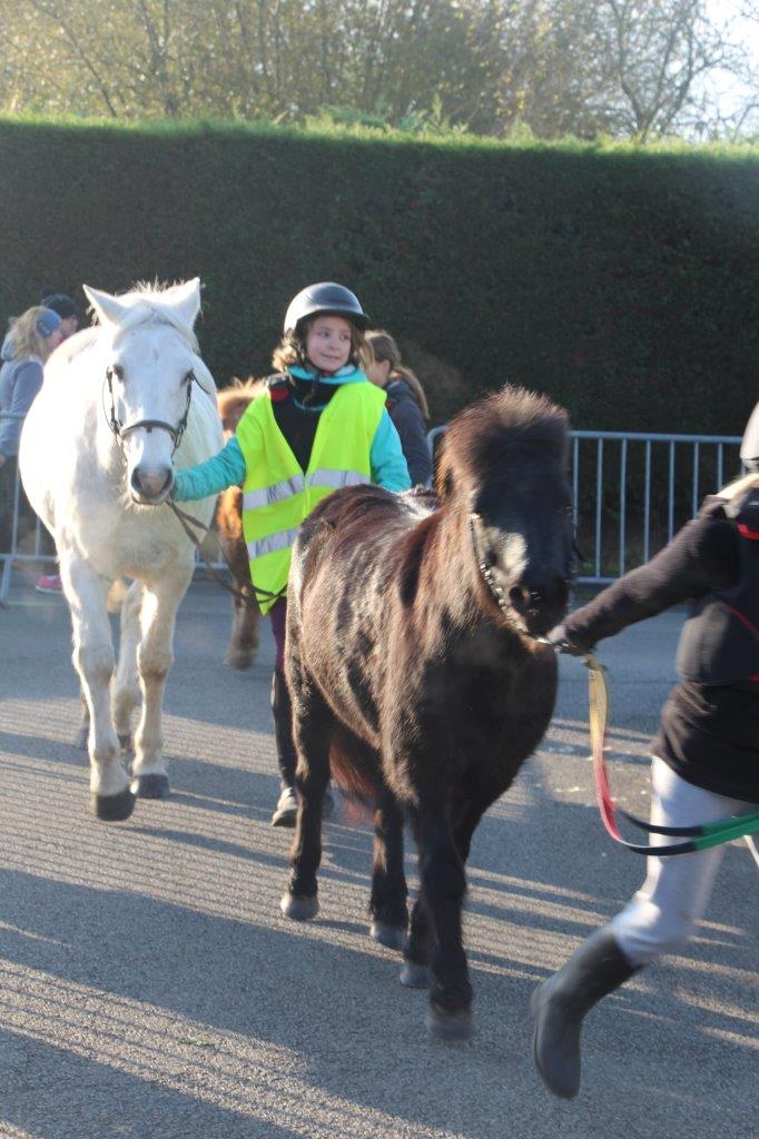 Foire aux Poulains (119)