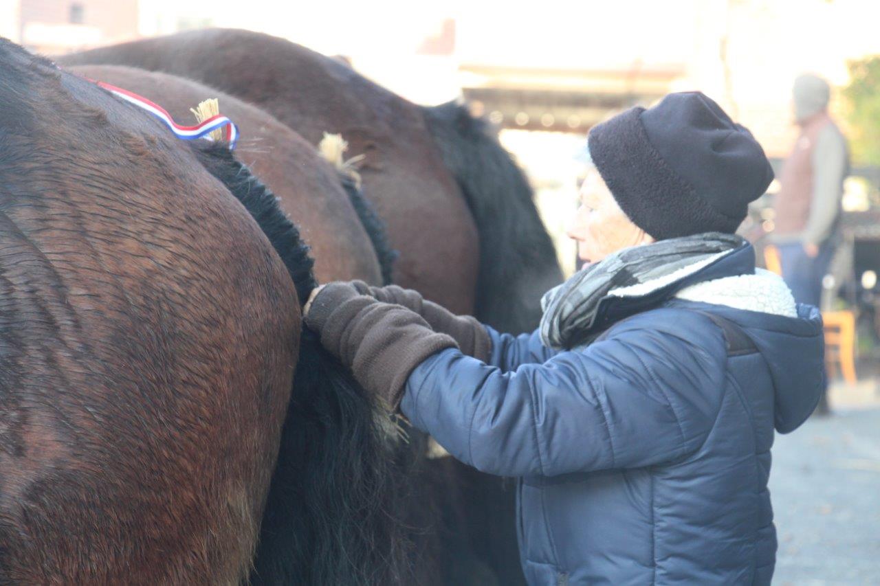 Foire aux Poulains (12)