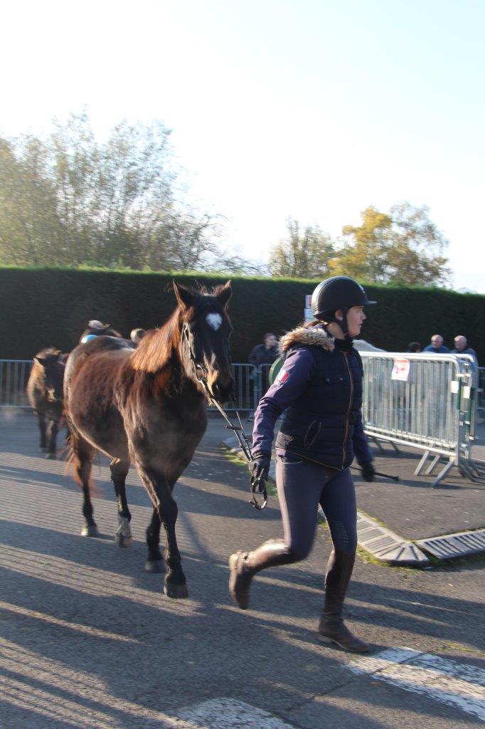 Foire aux Poulains (120)