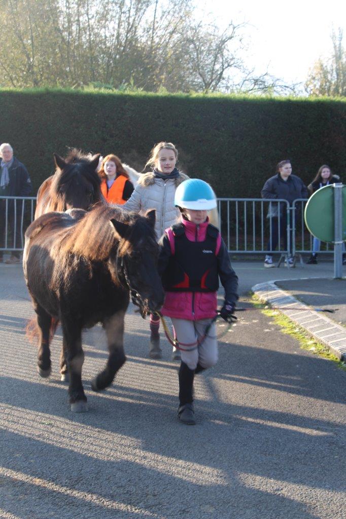 Foire aux Poulains (121)