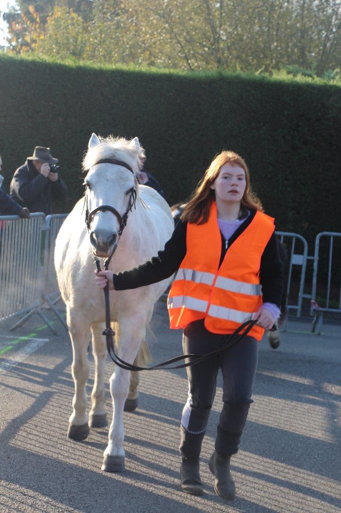 Foire aux Poulains (122)