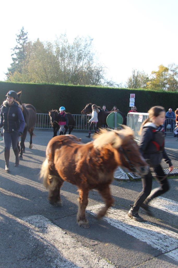 Foire aux Poulains (126)