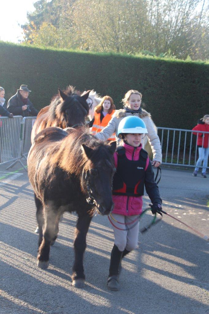 Foire aux Poulains (127)