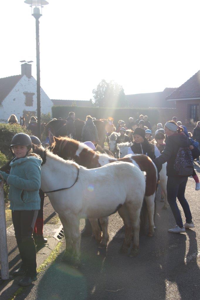 Foire aux Poulains (130)