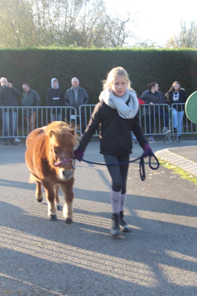 Foire aux Poulains (133)