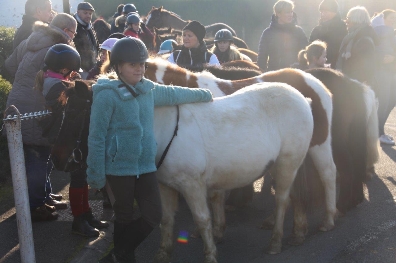 Foire aux Poulains (135)