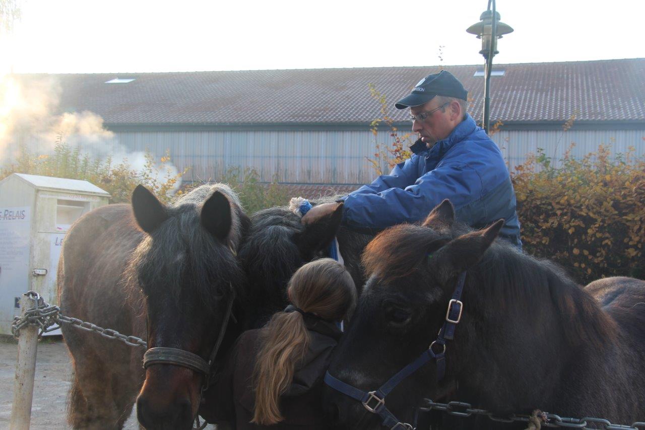 Foire aux Poulains (14)