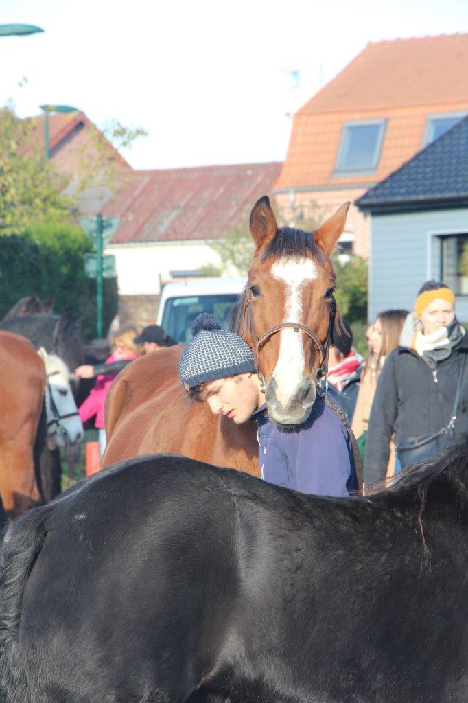 Foire aux Poulains (143)