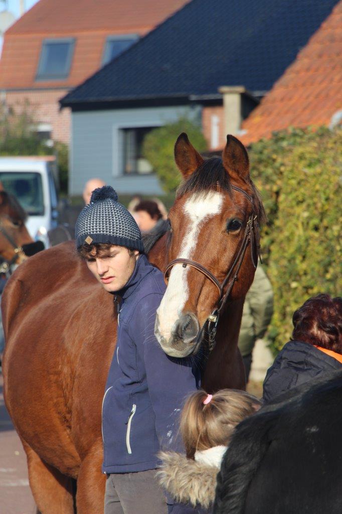 Foire aux Poulains (144)