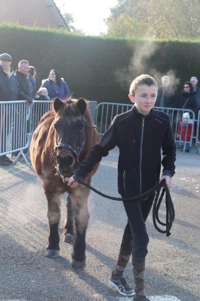 Foire aux Poulains (145)