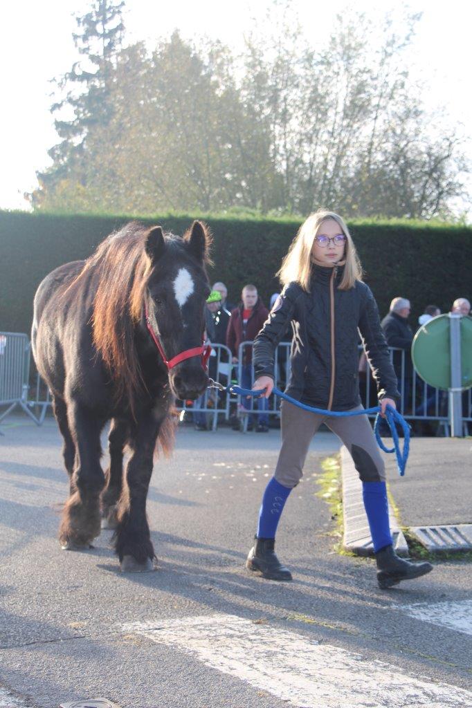 Foire aux Poulains (146)