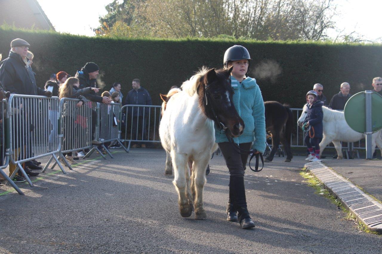 Foire aux Poulains (148)