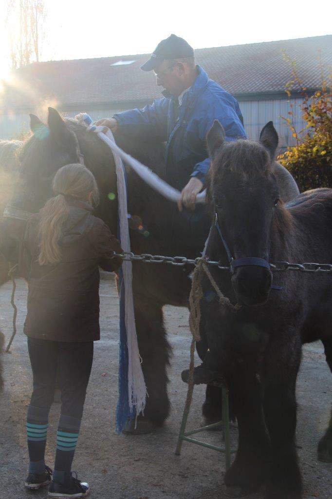 Foire aux Poulains (15)