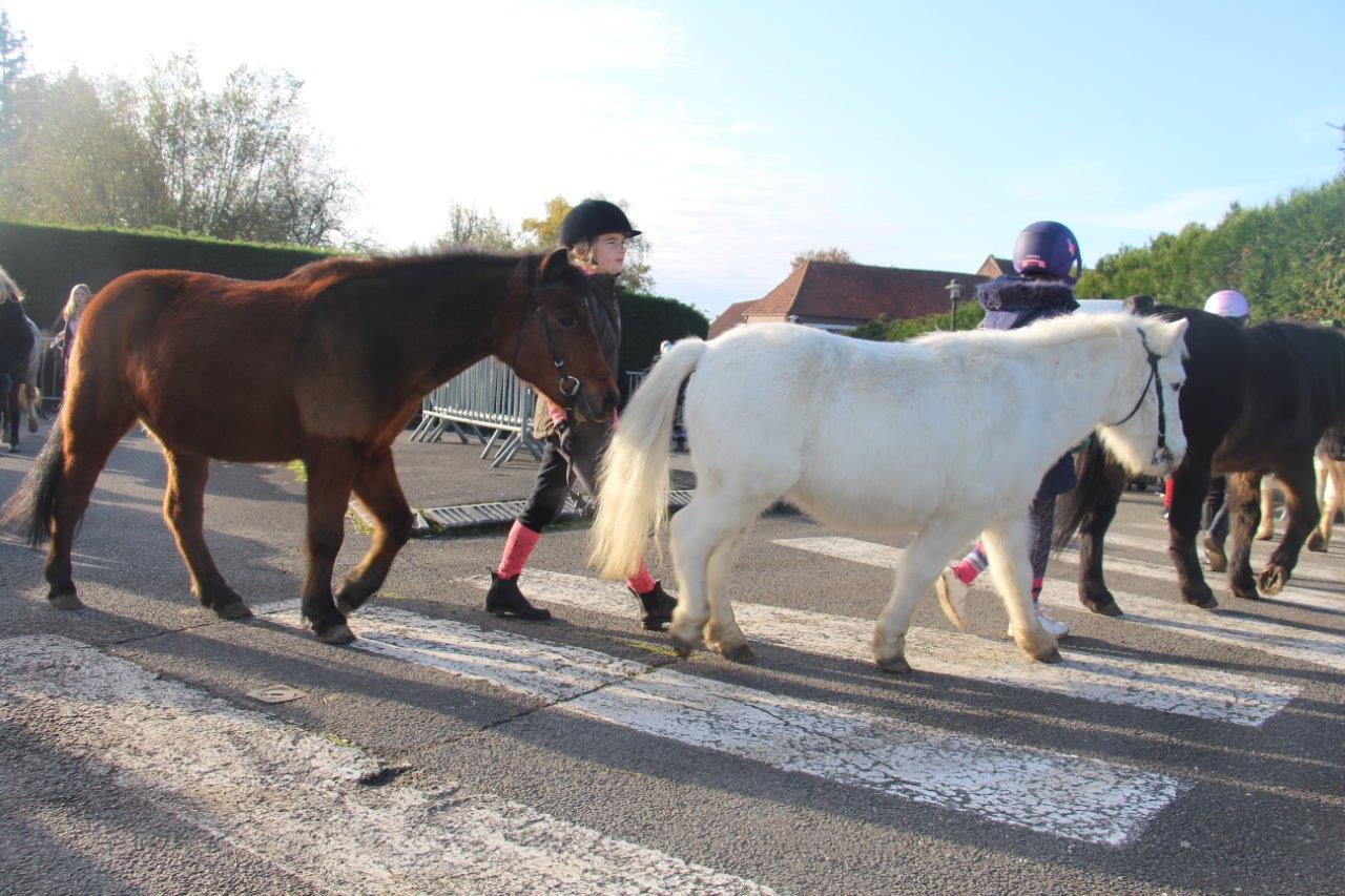 Foire aux Poulains (150)