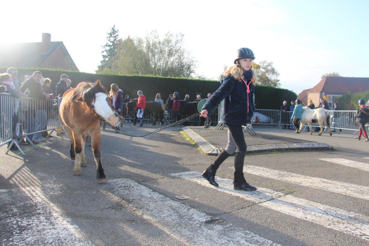 Foire aux Poulains (151)