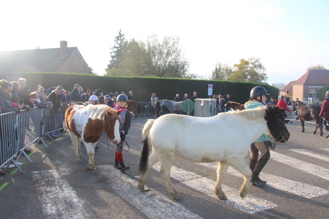 Foire aux Poulains (152)