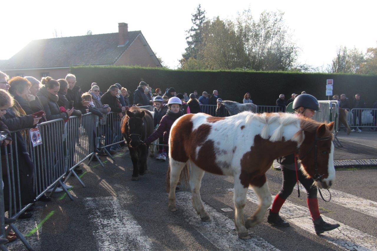 Foire aux Poulains (153)