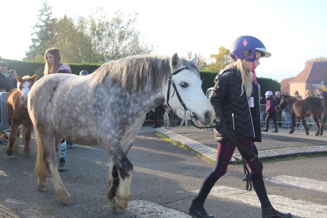 Foire aux Poulains (154)