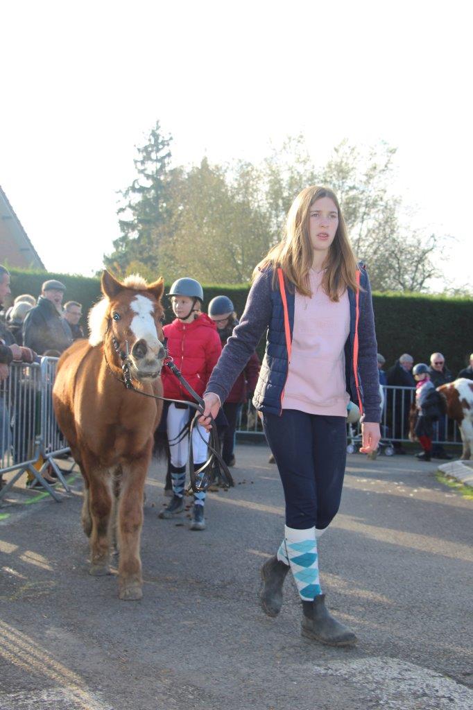 Foire aux Poulains (155)