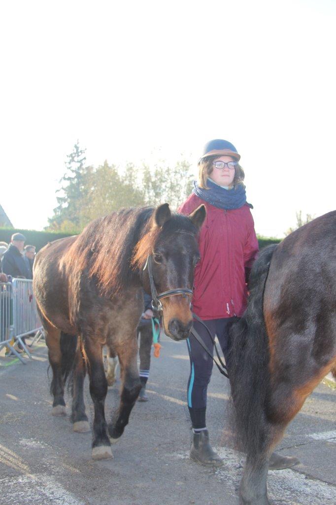 Foire aux Poulains (157)