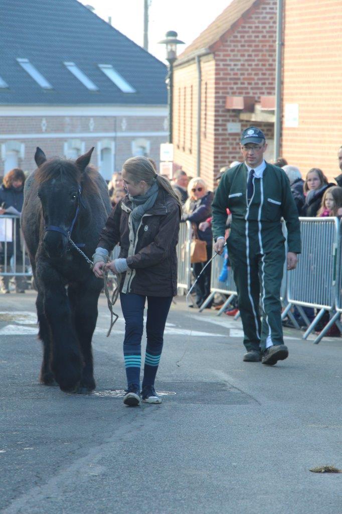 Foire aux Poulains (159)