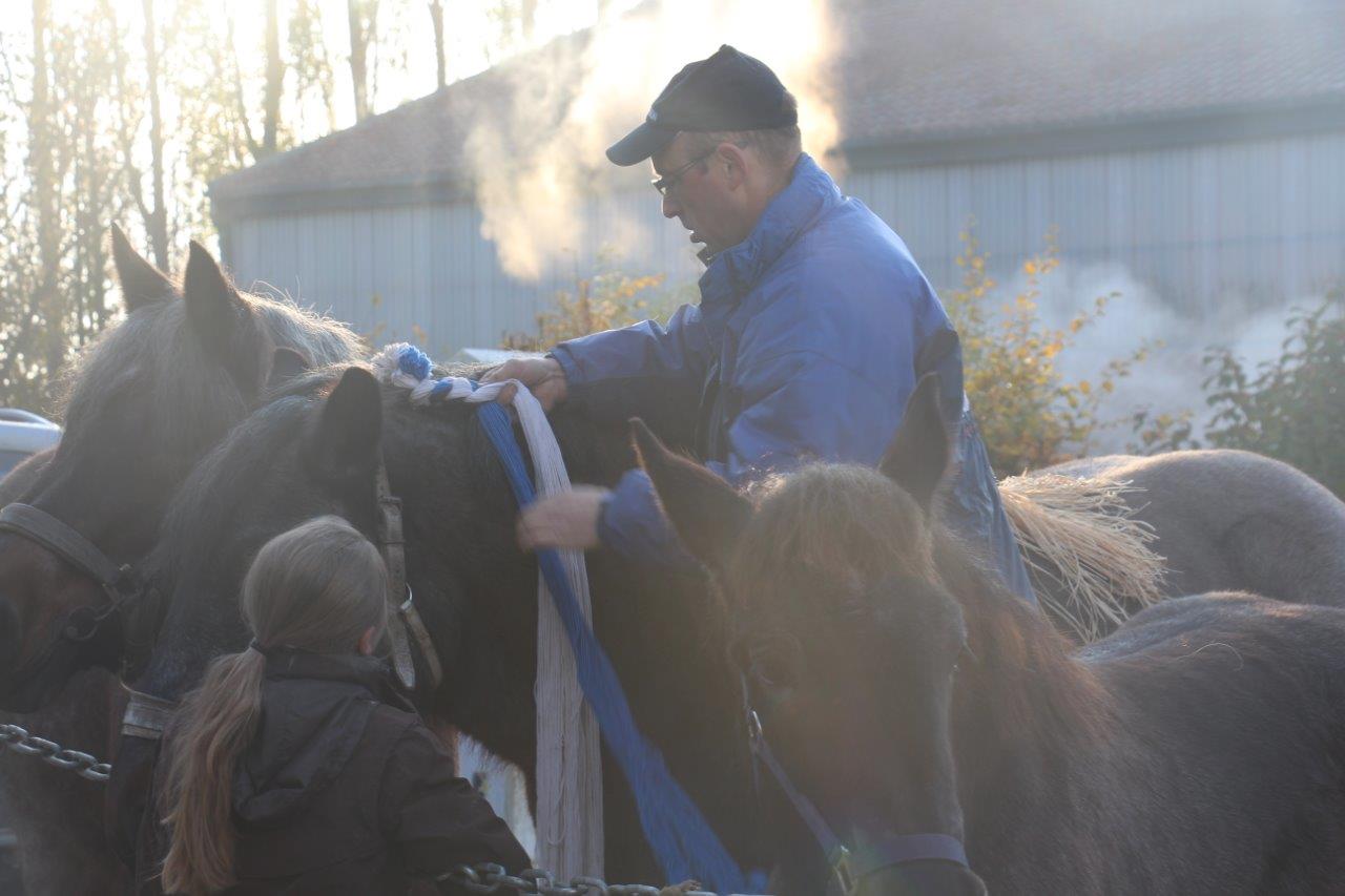 Foire aux Poulains (16)