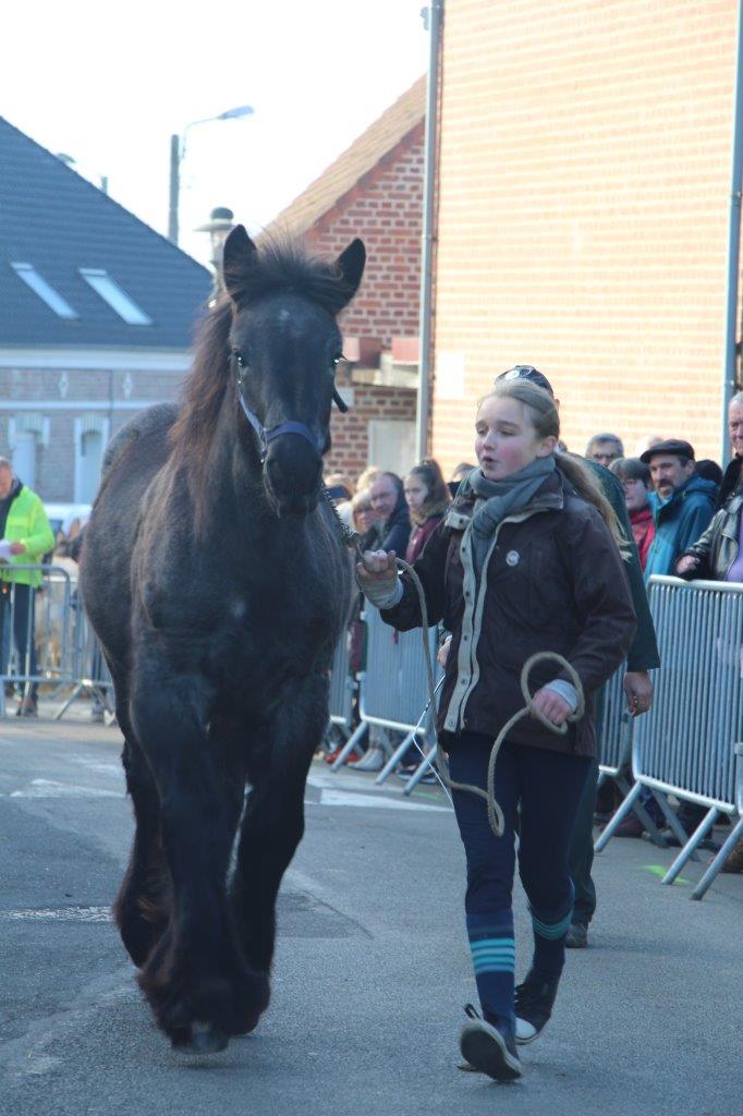 Foire aux Poulains (160)