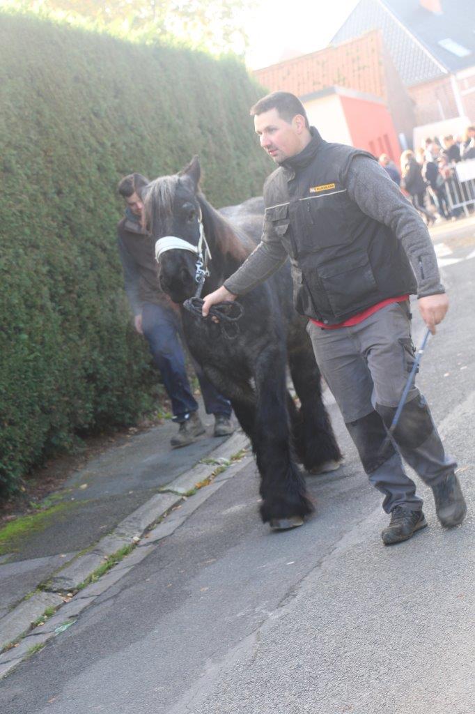 Foire aux Poulains (161)