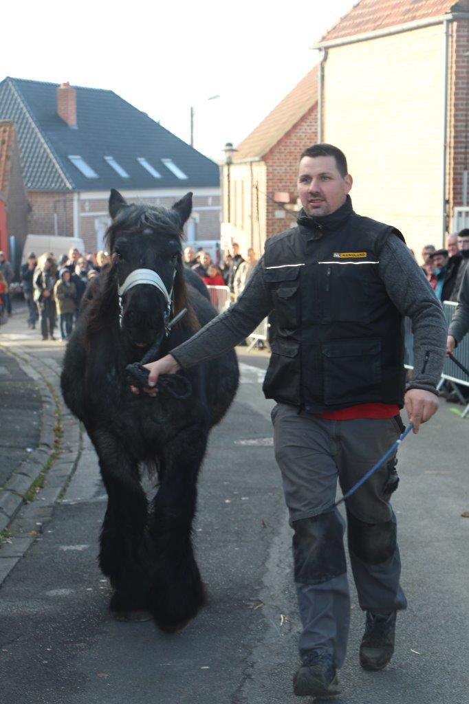 Foire aux Poulains (163)