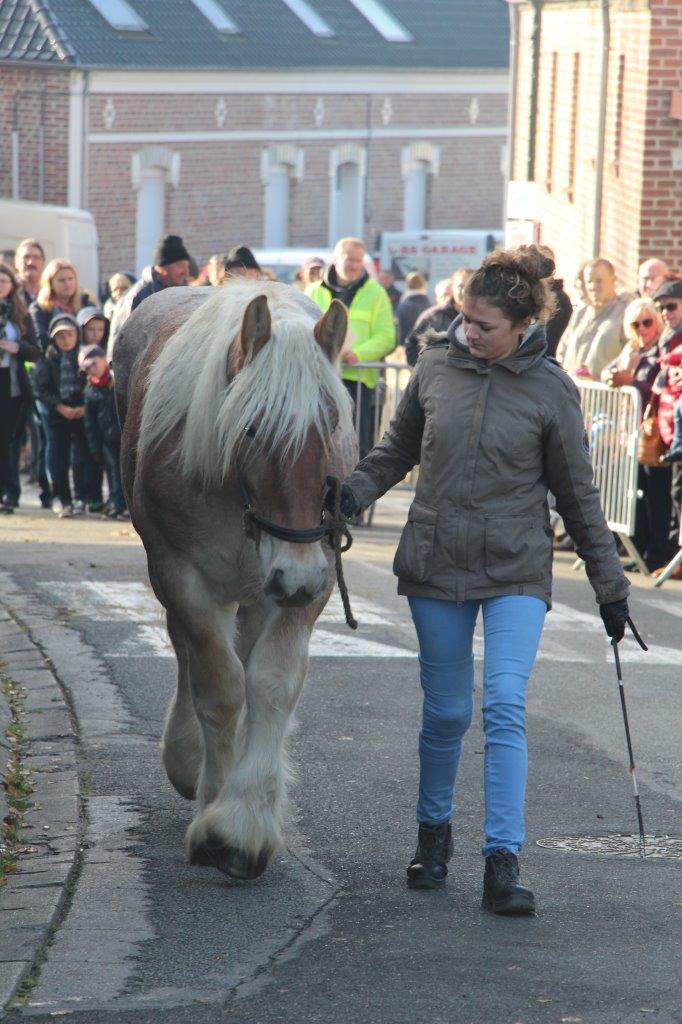 Foire aux Poulains (166)