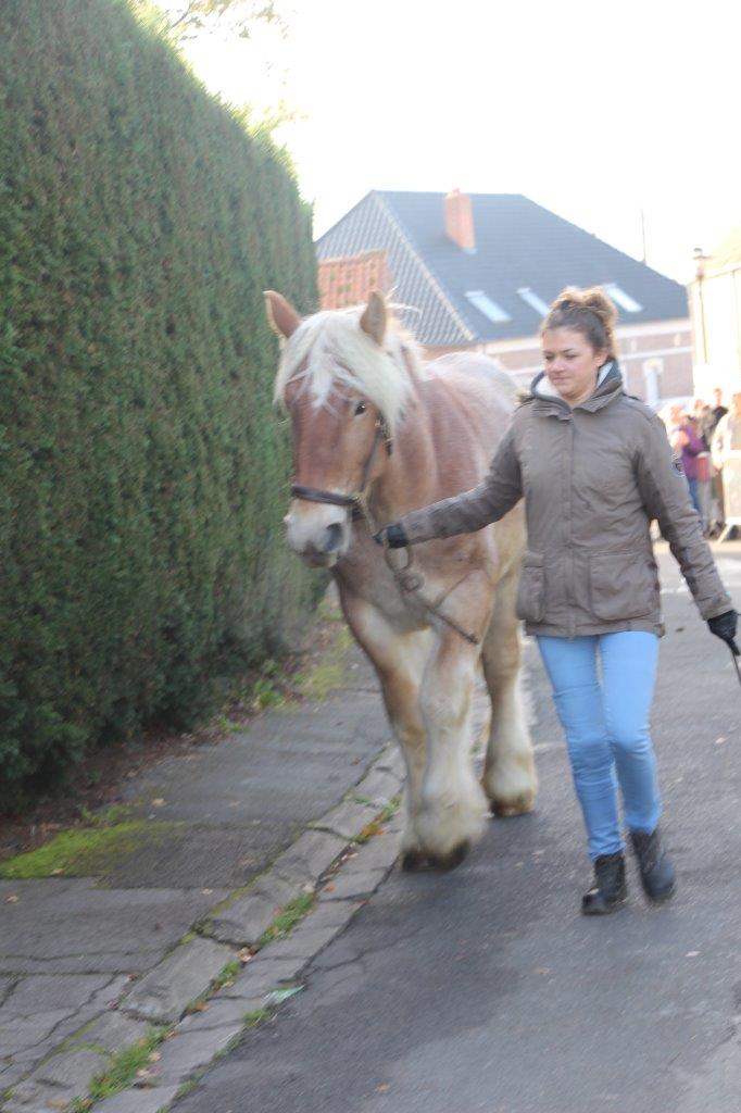 Foire aux Poulains (167)