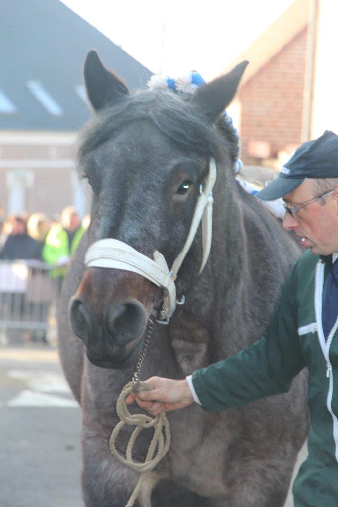 Foire aux Poulains (172)