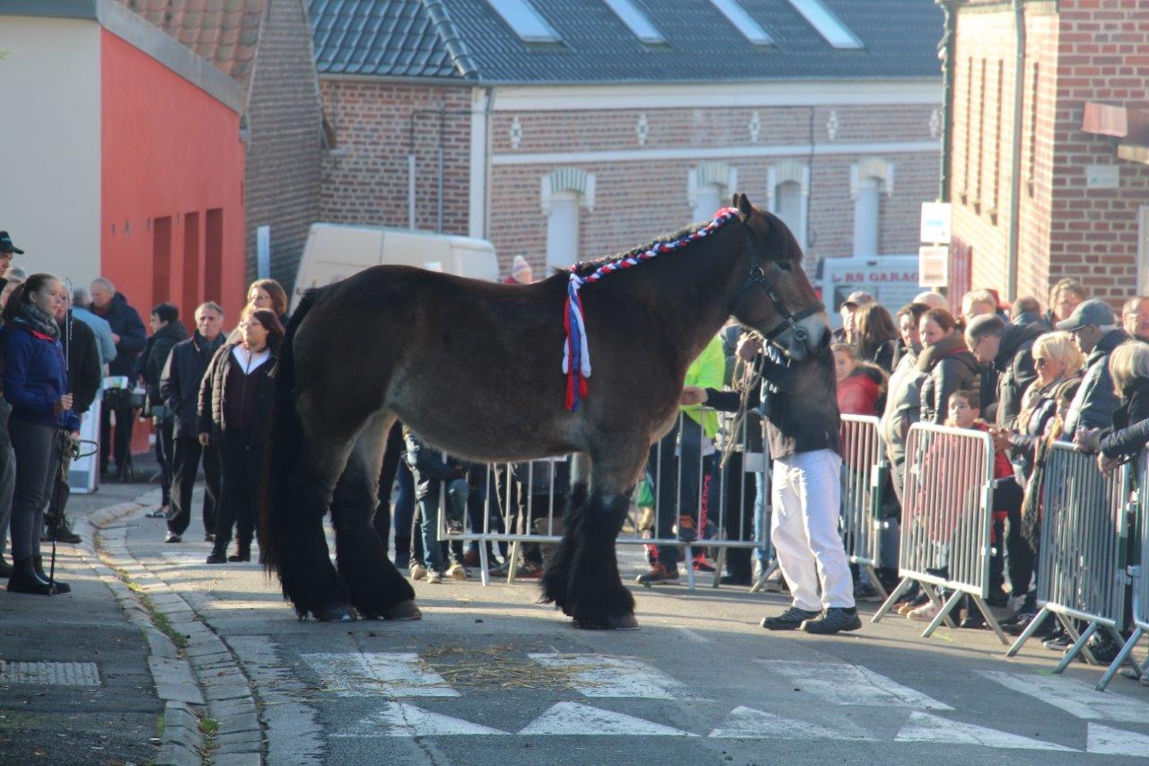 Foire aux Poulains (173)