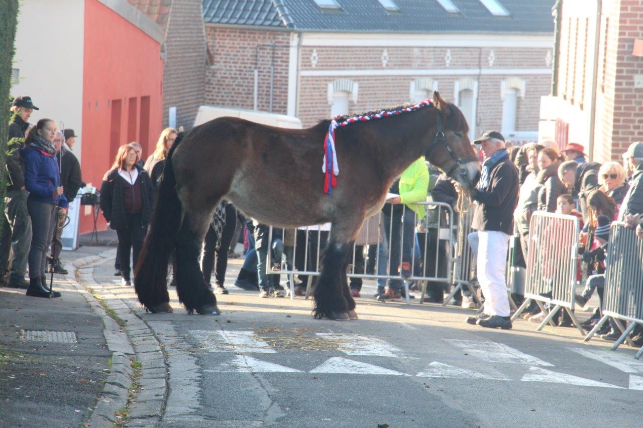 Foire aux Poulains (174)