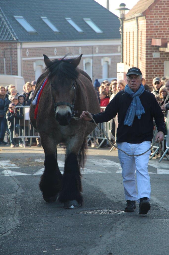 Foire aux Poulains (175)