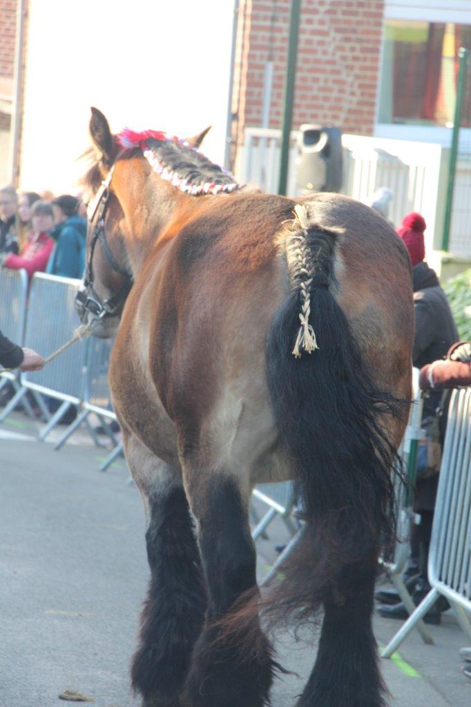 Foire aux Poulains (176)