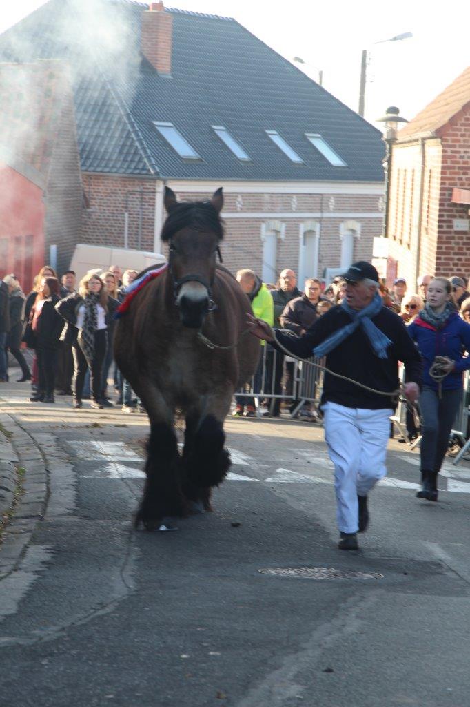 Foire aux Poulains (177)