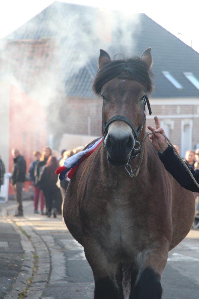 Foire aux Poulains (178)