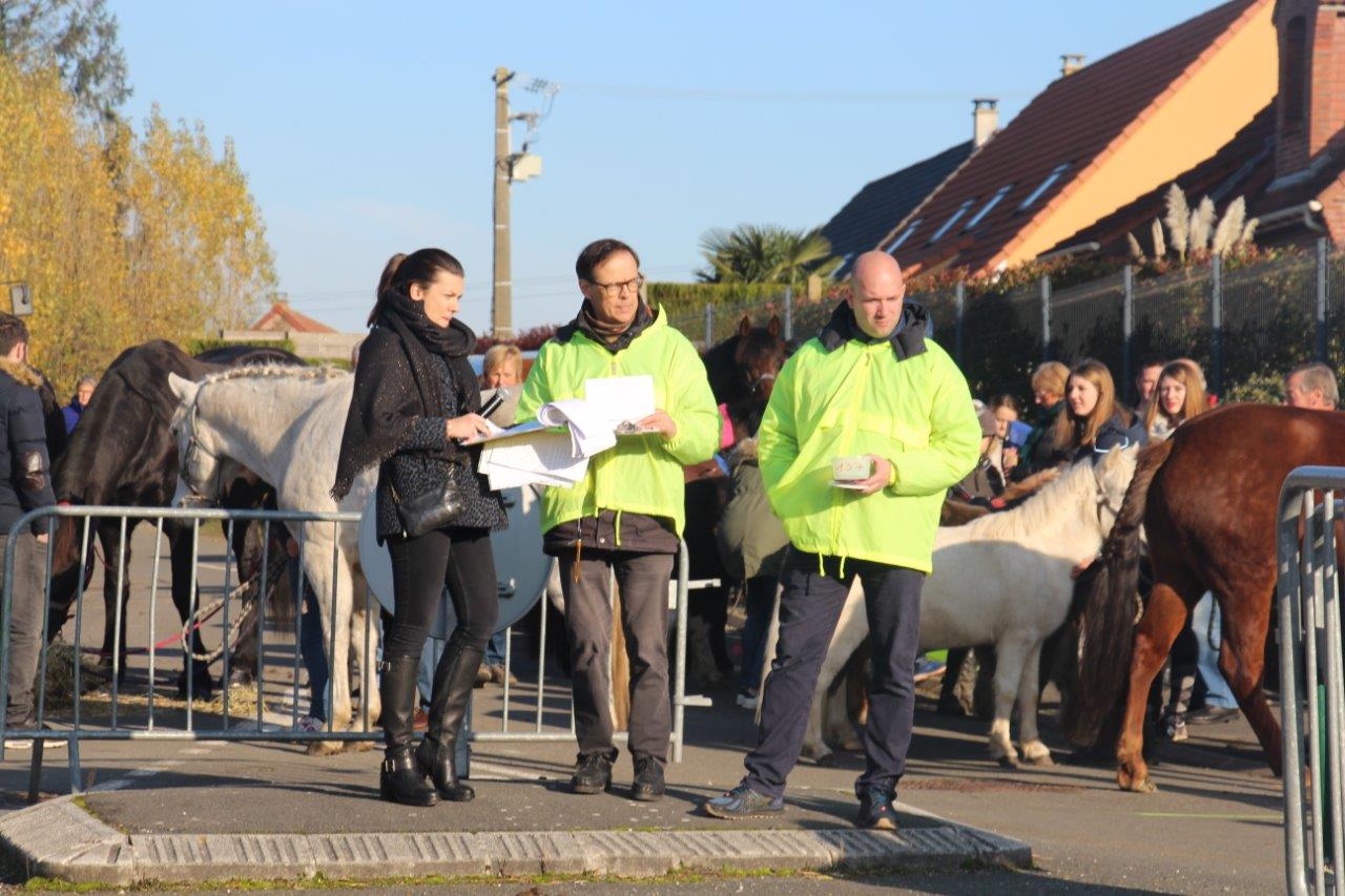 Foire aux Poulains (179)